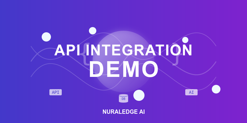 API Integration Demo Video